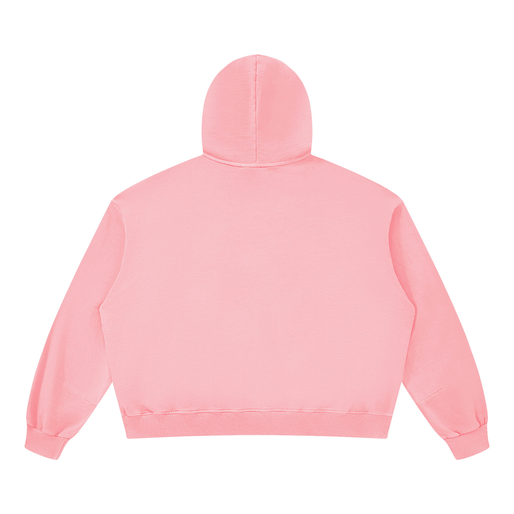 Pink Philippians Vintage Washed Hoodie